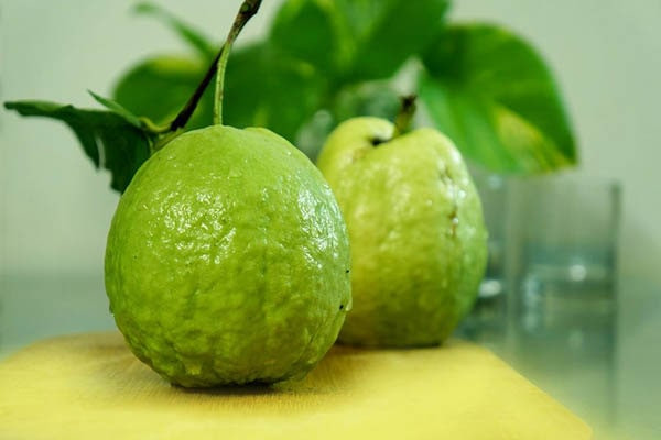 Ổi là loại quả thông dụng được rất nhiều người yêu thích bởi nó có tính năng giảm cân hiệu quả. Trong ổi giàu kali, giúp đốt cháy chất béo và kiểm soát cơn đói.