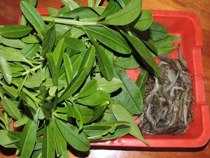 Lá và rễ sâm đất có chứa hàm lượng cao các chất dinh dưỡng như protein, chất béo, canxi, vitamin và các chất dinh dưỡng khác. Theo lương y Vũ Quốc Trung (Phòng chẩn trị Y học Cổ truyền, Hội Đông y Việt Nam), Đông y ghi nhận sâm đất có tính hàn, vị hơi đắng, cay.