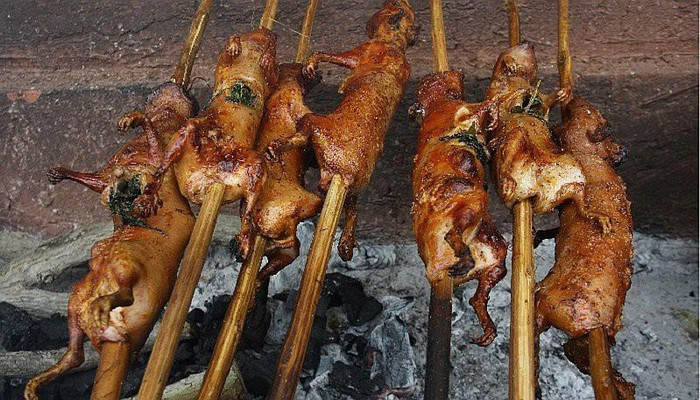 Hai món nổi tiếng nhất làm từ chuột lang ở Peru là cuy chactado, cuy al palo. Cuy chactado là đặc sản vùng Arequipa với thịt ép chặt bằng đá rồi chiên giòn, còn cuy al palo là chuột lang quay trên bếp than.