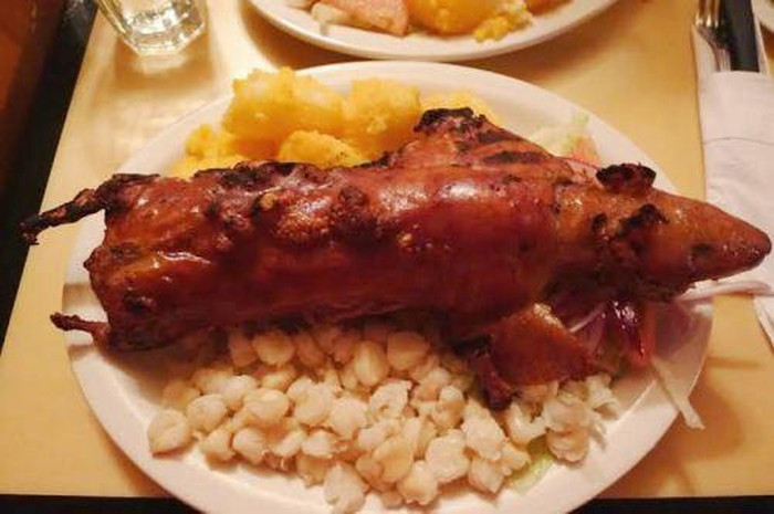 Ngày càng nhiều du khách quốc tế tò mò hoặc ham khám phá ẩm thực địa phương nên nhiều nhà hàng ở Peru đã cho cuy vào thực đơn. Ảnh: Internet. Video "Chế biến món ngon từ nấm đông cô". Nguồn: VTC.
