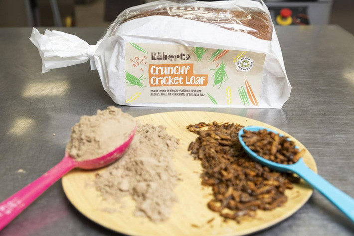 Mới đây, họ sáng tạo ra loại bánh mì từ hàng trăm con dế có tên Crunchy Cricket Loaf. Mỗi ổ bánh mỳ chứa khoảng 336 con dế, được sấy khô, nghiền, trộn với bột mì, ngũ cốc và sau đó được nướng để trở thành một ổ bánh mì cực kỳ ngon với lớp vỏ giòn rụm", ông Stuart Spencer-Calnan - giám đốc điều hành của tiệm bánh cho biết.