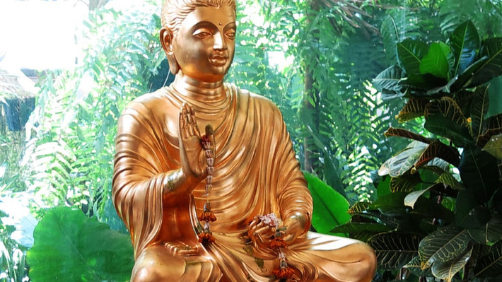 Đây là quán cà phê có không gian mở, trang trí với cây xanh, ao cá, tượng Phật, nội thất hiện đại cùng danh sách đồ ăn, thức uống không giống nơi đâu.