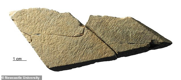 Người Magdalenian sống cách đây từ 23.000 - 14.000 năm trước. Vào thời điểm ấy, họ tạo ra nghệ thuật sơ khai băng cách chạm khắc lên tường hang động và khắc hình vẽ lên trên đá.