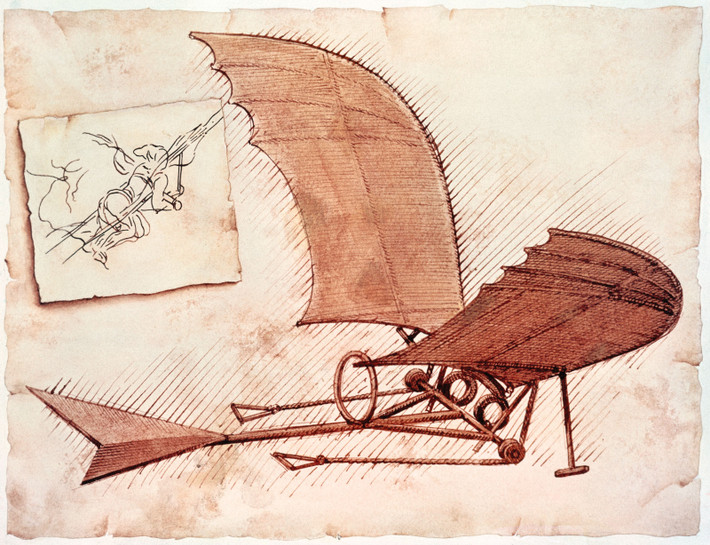 Theo thiết kế của thiên tài Da Vinci, cỗ máy biết bay có một đôi cánh rất lớn gắn liền với một khung bằng gỗ. Bên trong khu gỗ có đủ chỗ cho một phi công nằm úp mặt và dịch chuyển đôi cánh lên - xuống bằng cách lái một quay tay điều khiển hàng loạt cánh tay đòn và ròng rọc.