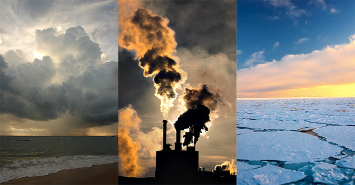 Nghiên cứu của các chuyên gia chỉ ra sự gia tăng carbon dioxide (CO2) trong không khí và xuất hiện những tảo độc có hại tới các loài thủy sinh, khiến sinh vật biển chết hàng loạt.