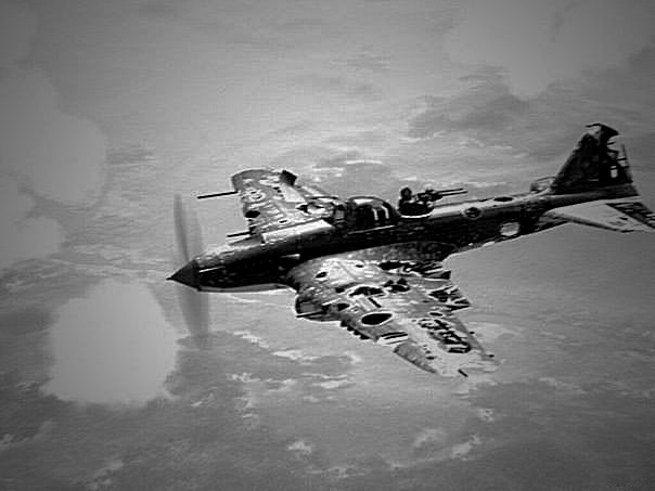 Các sử gia nhận định máy bay Ilyushin Il-2 đóng góp không nhỏ vào thắng lợi của Liên Xô trong cuộc chiến với phát xít Đức trên các mặt trận.
