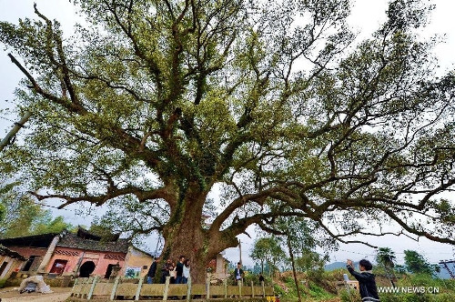 Dù chưa thể lý giải bí ẩn này nhưng nhiều người dân tìm đến ngắm nhìn, thắp hương và lễ bái nhằm cầu mong những điều tốt lành sẽ đến với họ cũng như gia đình.