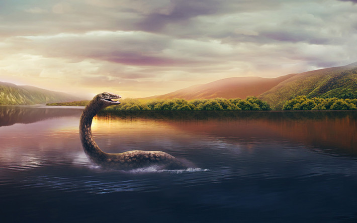 Kể từ đó đến nay, quái vật bí ẩn này thỉnh thoảng trồi lên trên mặt hồ Loch Ness và để lộ chiếc cổ thuôn dài. Thậm chí, một vài người đã chụp được ảnh của quái vật hồ Loch Ness. Vì vậy, nhiều người tò mò nó có hình dáng ra sao và thuộc loại động vật nào.