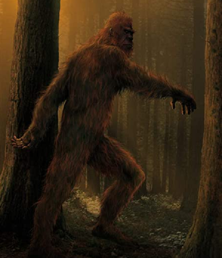 Toàn thân Bigfoot bao phủ lông lá rậm rạp màu nâu hoặc đen. Nó cao khoảng 2,5 - 3,5m và nặng vài trăm kg. Mỗi khi nhìn thấy con người, sinh vật bí ẩn này sẽ nhanh chóng bỏ chạy và để lại dấu chân to trên mặt đất. Dù cố gắng tìm kiếm nhưng đến nay, giới nghiên cứu vẫn chưa tìm ra tung tích hay nơi ẩn náu của Bigfoot.