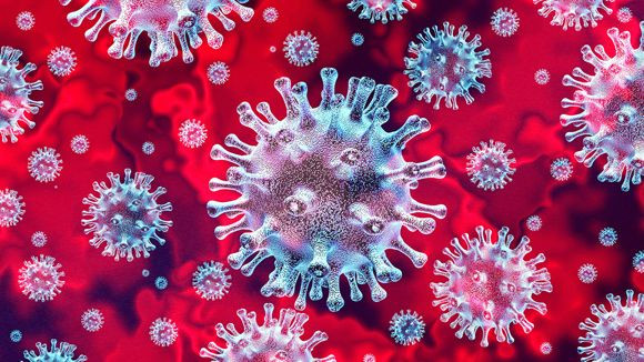 Vì vậy, nhóm nghiên cứu cho rằng cần phải thực hiện sàng lọc virus Sars-CoV-2 trên quy mô lớn đối với động vật hoang dã trên cạn và dưới biển, đặc biệt là những loài dễ mắc bệnh… để xây dựng các chiến lược phòng ngừa và kiểm soát hơn nữa”.