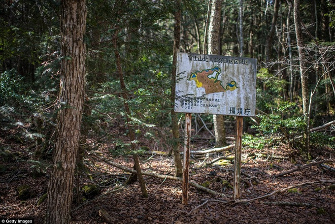 Aokigahara là khu rừng nổi tiếng nằm ở chân núi Phú Sĩ, Nhật Bản. Với diện tích rộng khoảng 35 km2, cây cối trong rừng vô cùng rậm rạp nên còn được gọi là "biển cây". Từ lâu, khu rừng Aokigahara trở thành nơi nhiều người tìm đến tự sát.