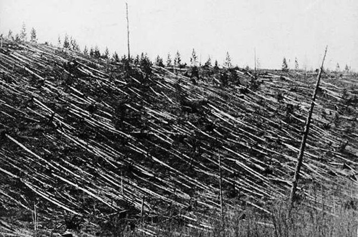Các nhà khoa học gọi sự kiện này là vụ nổ Tunguska. Theo các chuyên gia, vụ nổ bí ẩn này đã san phẳng khoảng 80 triệu cây cối trên diện tích 2.150 km2.