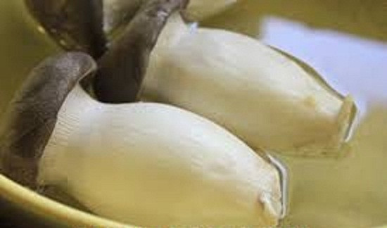 Bước 2: Nấu sôi 0,5 lít nước có pha 1 thìa cà phê dầu ăn, 1/4 thìa cà phê muối sau đó thả nấm đùi gà vào luộc trong 10 phút.