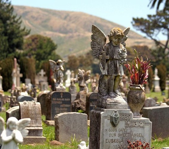 Sự việc càng nghiêm trọng hơn khi vào năm 1900, chính quyền San Francisco tuyên bố thành phố này không còn quỹ đất cho nghĩa trang nữa và cấm hẳn chôn cất.
