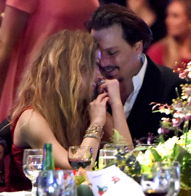 Đầu năm 2016 hai vợ chồng Depp và Heard trở thành đề tài trên báo chí khi họ mang chó trái phép vào Australia. Hai tháng sau họ phải quay một video xin lỗi về hành động đó.