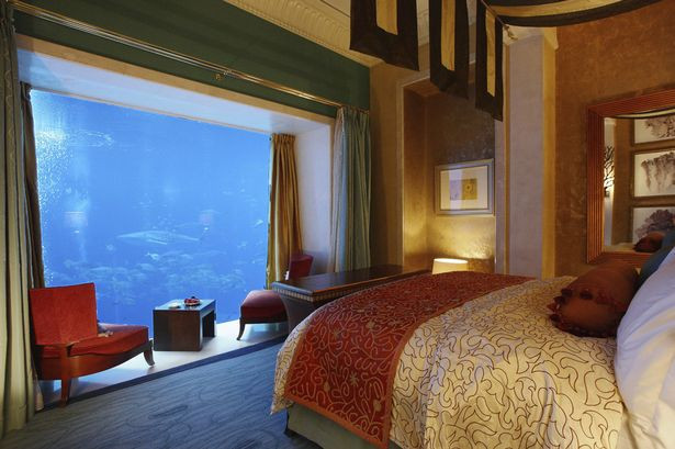 Josef Kleindienst, Giám đốc điều hành của Kleindienst Group, dự kiến loạt biệt thự nổi Floating Seahorse sẽ được hoàn thành vào cuối năm 2016. Ở tầng một của biệt thự, du khách có thể ngắm nhìn quang cảnh rặng san hô nhân tạo tuyệt đẹp bên ngoài.