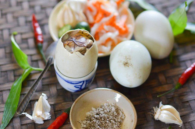 Mới đây, bảo tàng có tên Disgusting Food của Thụy Điển đã trưng bày hơn 80 món ăn được đánh giá là kinh dị bậc nhất thế giới. Điều đặc biệt là hột vịt lộn, sầu riêng và cả cà phê chồn của Việt Nam cũng nằm trong danh sách này. Trứng vịt lộn, món ăn ngon rẻ xuất hiện khá nhiều ở các quán vỉa hè ăn vặt Việt Nam được nhiều người phương Tây nhận định rằng phải có dũng khí lắm mới dám ăn.