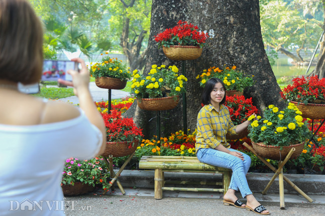 Bên trong không gian trưng bày được trang trí với những luống cây, hoa sặc sỡ, bắt mắt để khách thăm quan có thể chụp ảnh lưu niệm.