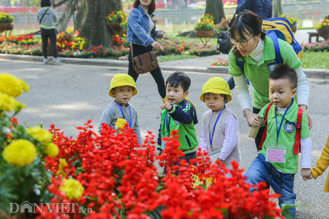 Nhiều em nhỏ đến tham quan vườn Bách Thảo cũng tỏ ra thích thú với những cây hoa độc đáo, hình thù bắt mắt.