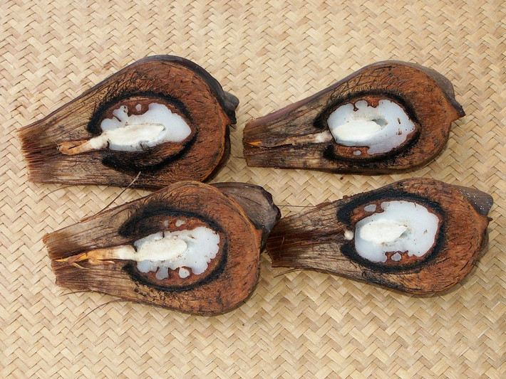 Cụ thể, các hạt giống này sẽ phá vỡ vỏ hạt và phát triển như được vun trồng ngay trong khi chúng vẫn ở trong quả mẹ.