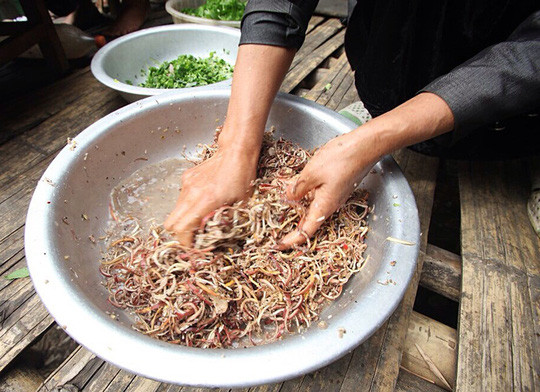 Thịt cá sông suối rất ngon, nhiều khi bắt được con cá to, thịt lọc ra có màu nâu đậm dai và ngọt. Ảnh: Petrotimes.
