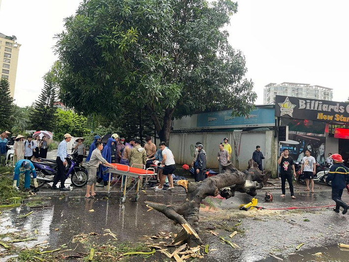 Dù vậy, thiệt hại về người đã xảy ra. Chiều 6/9, tại đường Nguyễn Hữu Thọ, phường Hoàng Liệt, quận Hoàng Mai, Hà Nội, một cây Phượng đường kính từ 40-50cm bất ngờ đổ trúng xe máy khiến 2 người thương vong.