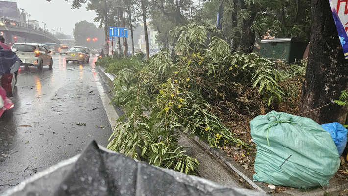 Gió lớn khiến nhiều cây cối trên đường Hà Nội bị "đánh gục".