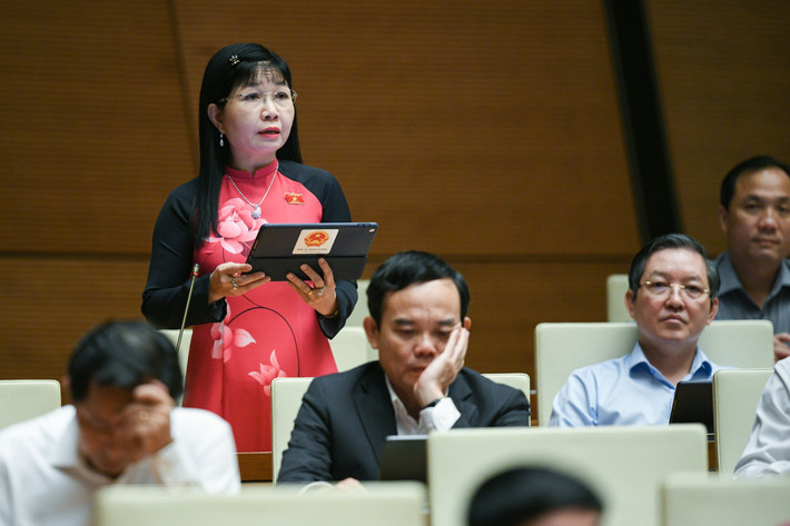Đại biểu Trần Thị Thanh Hương - Đoàn An Giang: “Dự án Luật cần nêu cụ thể về quyền và trách nhiệm của công dân khi tham gia góp ý vào thảo luận, kiến nghị với cơ quan với Nhà nước về sử dụng đất đai; tham gia ý kiến về định giá đất, bồi thường, quy hoạch đất đai ở địa phương”.