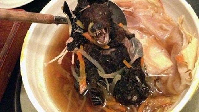 Người ta tin rằng súp dơi có tác dụng như một phương thuốc chữa bệnh và rất bổ cho thực khách. Chẳng hạn như máu dơi có tác dụng chữa các bệnh liên quan tới vấn đề hô hấp còn ăn mắt dơi sẽ giúp bạn sáng mắt.