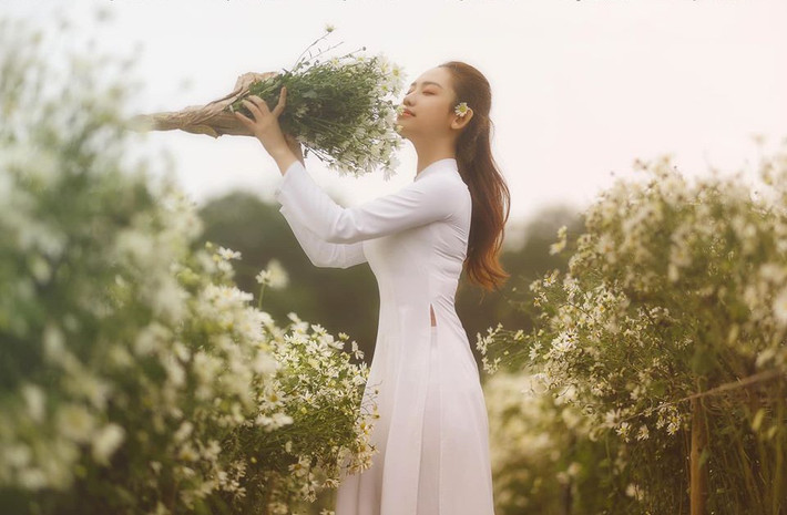 Trước người đẹp Thúy Vi, nhiều sao Việt cùng từng thực hiện bộ ảnh áo dài duyên dáng bên cúc họa mi.
