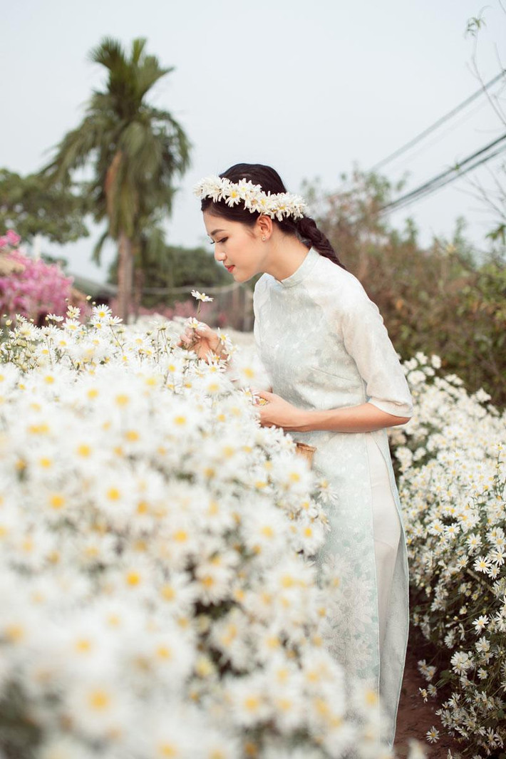 Thanh Tú mặc trang phục nằm trong BST áo dài Hương đồng nội của Hoa hậu Ngọc Hân lấy cảm hứng từ hình ảnh những bông hoa cúc họa mi dịu dàng, thanh khiết.