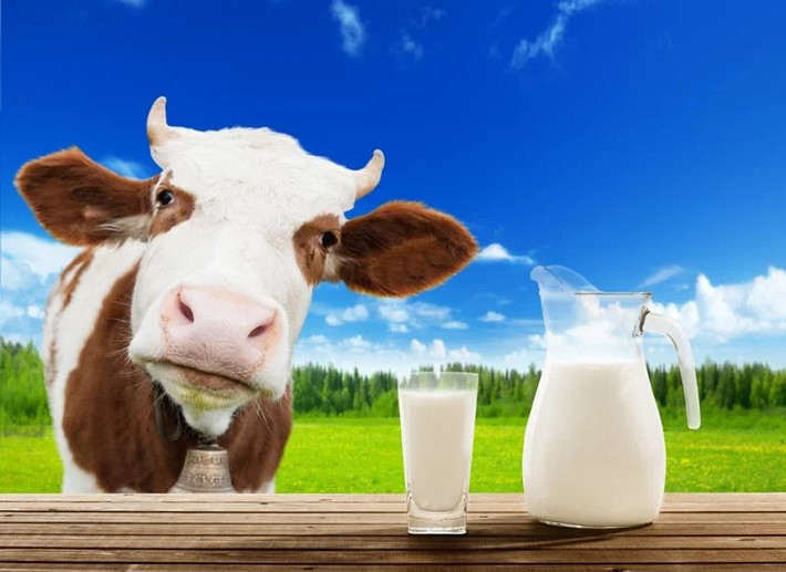 Sữa bò: Về cơ bản, sữa bò làm tăng lượng đường trong máu, từ đó gây viêm. Sữa bò cũng làm tăng hàm lượng insulin, một chất kích thích sản sinh dầu trên da, dẫn đến mụn nhọt.