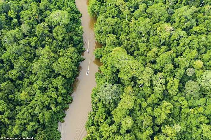 Vườn quốc gia Taman Negara của Malaysia bao gồm 10.000 loài thực vật, 150.000 loài côn trùng, 270 loài bò sát, 250 loài cá nước ngọt, 200 loài động vật có vú, 675 loài chim và 25.000 loài động vật không xương sống.