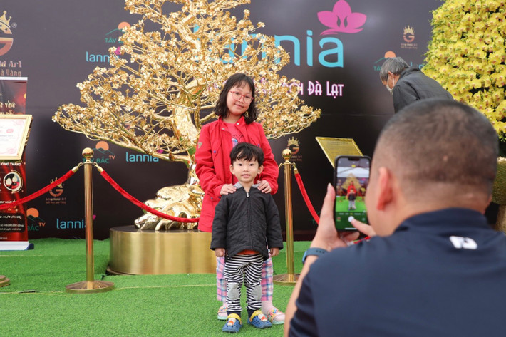 Cây mai trị giá gần 6 tỉ đồng thu hút đông đảo người dân và du khách tới chiêm ngưỡng, chụp ảnh.