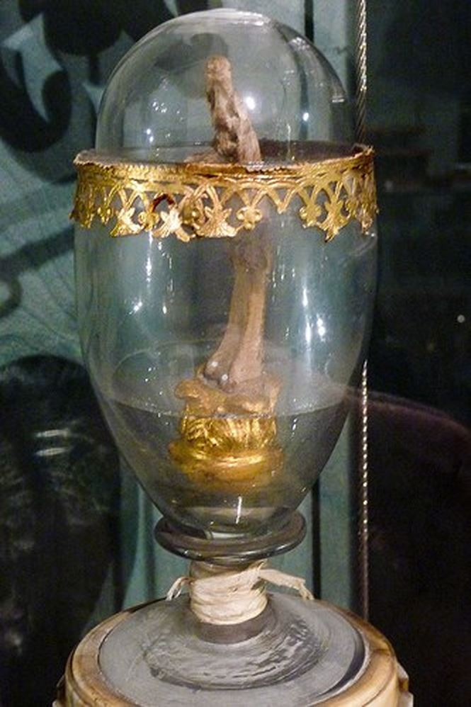 Đến năm 1905, chúng bị mất tích và không ai hay biết số phận những bộ phận cơ thể của Galileo ở nơi đâu hay thuộc sở hữu của người nào.
