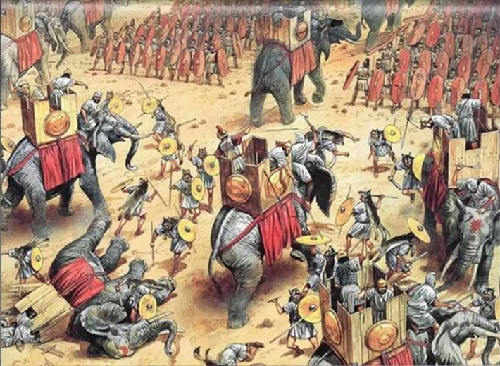 So với lực lượng của tướng Hannibal, Africanus của La Mã được đánh giá là yếu thế hơn và được dự đoán sẽ bại trận. Tuy nhiên, với lực lượng ít hơn, Africanus đã sử dụng chiến thuật cho binh sĩ thổi kèn, nổi trống khiến quân của Hannibal dao động và đàn voi hoảng sợ. Kết quả là nhiều binh sĩ của Hannibal bị voi dẫm chết.