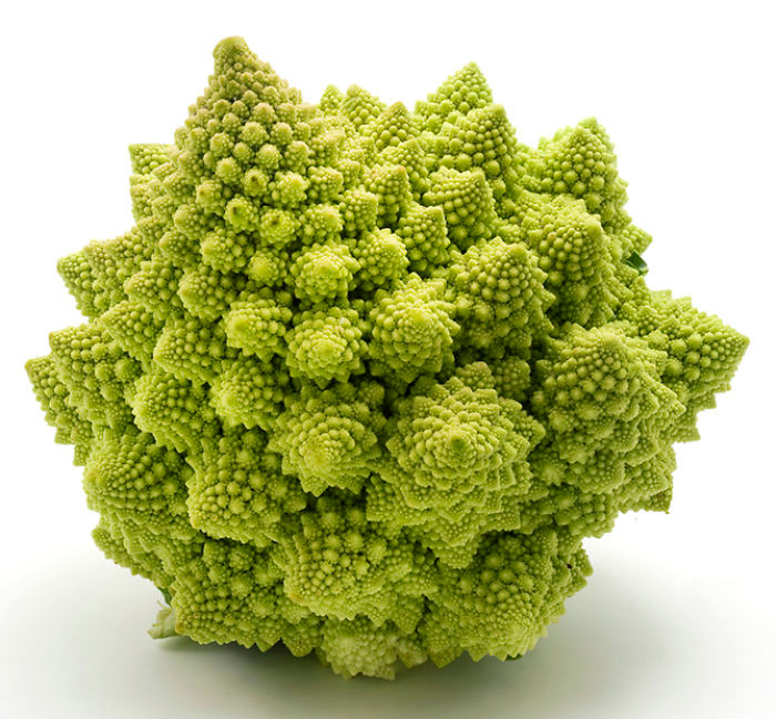 Bông cải xanh Romanesco, một trong những loài thực vật có cấu trúc hình học hoàn hảo nhất hành tinh. (Nguồn Bored Panda)