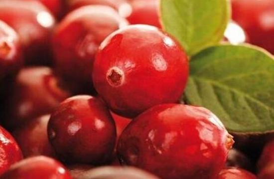 Chú ý, bạn không nên dùng thêm quả nam việt quất nếu đã uống nước ép hoa quả hoặc ăn hoa quả sấy khô vì điều này có thể khiến cơ thể bị nạp quá nhiều đường. Hãy tìm hiểu kỹ hoặc tốt nhất tham khảo các chuyên gia dinh dưỡng trước khi sử dụng.
