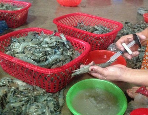Thường thương lái bơm nước vào những loại hải sản này để kiếm thêm lợi nhuận và đánh lừa người tiêu dùng chủ quan, tin người.