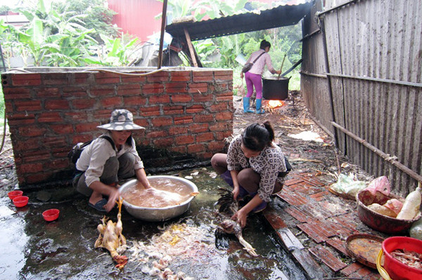 Chủ nhiệm Khoa Các bệnh truyền nhiễm Phan Hồng Anh và các thành viên trong nhóm của ông quyết định truy tìm nguyên nhân gốc rễ và tìm hiểu thêm về bệnh sử. Cuối cùng, họ đã phát hiện ra nguyên nhân. Cô Cảnh đã đứng xem người khác giết vịt khoảng 10 ngày trước khi phát bệnh, như vậy là có tiền sử tiếp xúc với gia cầm sống, nên phải cân nhắc khả năng lây bệnh từ động vật.