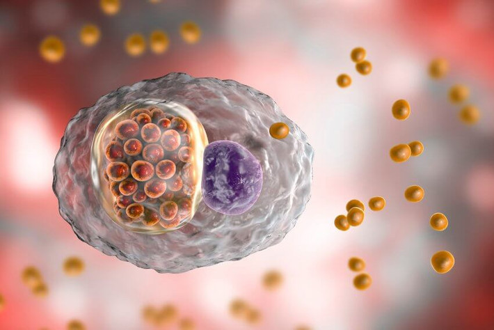 Cô Cảnh được chẩn đoán là nhiễm Chlamydia psittaci - một loài vi khuẩn nội bào gây chết người có thể gây bệnh chlamydiosis đặc hữu, bùng phát dịch ở động vật có vú và bệnh psittacosis ở người. Vật chủ tiềm năng bao gồm chim hoang và gia cầm thuần hóa, cũng như gia súc, lợn, cừu và ngựa.