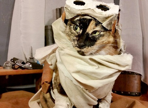 Hướng hai chú mèo của mình theo phong cách cosplay khác biệt, không đáng yêu, không dễ thương, không hài hước mà cực ngầu, Nathan có vẻ đã đi đúng hướng khi những màn cosplay của mèo cưng được rất nhiều người yêu thích. (Nguồn Dailymail)