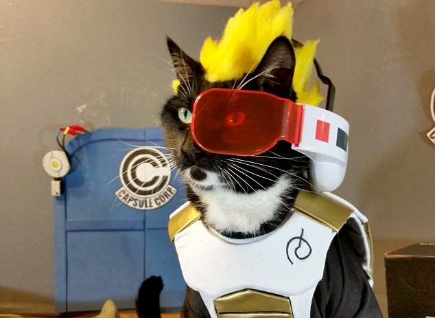 Fawkes hóa thân thành siêu saiyan Vegeta trong bộ phim hoạt hình nổi tiếng thế giới Dragonball Z. (Nguồn Dailymail)