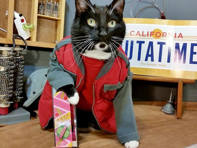 Trong ảnh là Fawkes hóa thân vào nhân vật Marty Mcfly, nhân vật chính trong bộ phim "Back to the Future", một bộ phim khoa học viễn tưởng phiêu lưu hài hước của điện ảnh Mỹ rất nổi tiếng. (Nguồn Dailymail)