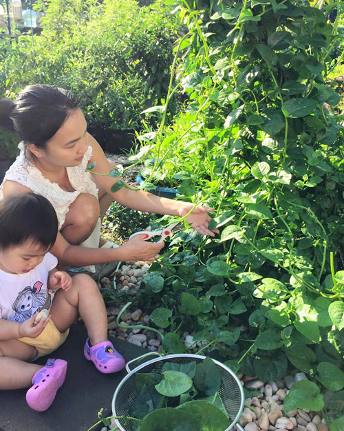 Hai mẹ con cắt rau mồng tơi chuẩn bị cho bữa trưa mùa hè.