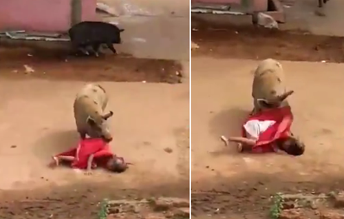 Bà Bibi Jan sau đó cũng được đưa ngay vào bệnh viện để điều trị. Được biết, chấn thương của bà Bibi Jan tập trung chủ yếu trên mặt và cánh tay, không đe dọa đến tính mạng.