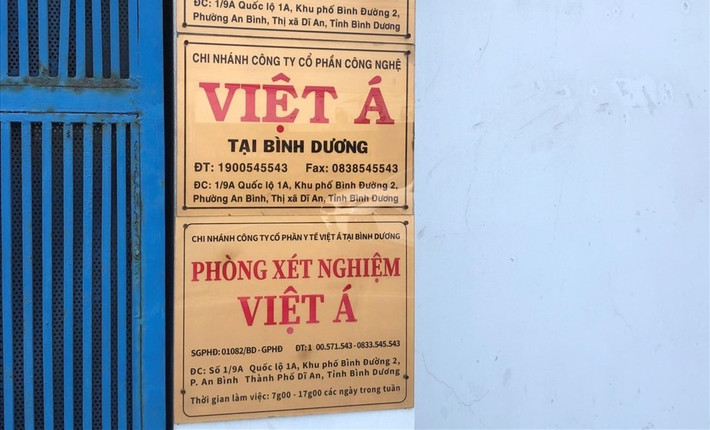 Công ty Việt Á do Phan Quốc Việt, Hồ Thị Thanh Thủy (vợ Phan Quốc Việt) và Đồng Sỹ Huy thành lập ngày 28/2/2007 tại TPHCM với với vốn đăng ký ban đầu chỉ 80 triệu đồng. Tháng 10/2009, công ty đăng ký thay đổi thông tin doanh nghiệp lần 3, vốn điều lệ 5 tỷ đồng với 3 cổ đông sáng lập. Trong đó, Phan Quốc Việt nắm giữ 10,2% cổ phần công ty; Hồ Thị Thanh Thủy nắm giữ 4,8% cổ phần công ty và ông Đồng Sỹ Huy nắm giữ 5% cổ phần công ty. Thông tin trên được Cục Quản lý đăng ký kinh doanh (Bộ KH&ĐT) cung cấp.