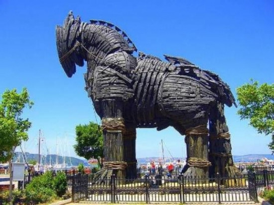 Nguyên nhân vụ việc là do hoàng tử Paris bắt cóc hoàng hậu tuyệt đẹp Helena của nhà vua Menelaus về vợ. Do vậy, vua Menelaus dẫn quân tấn công thành Troy và gây ta cuộc chiến tranh kéo dài 10 năm.
