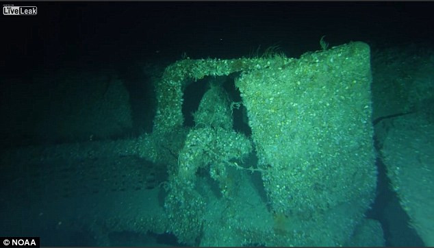 Tàu ngầm U-576 của Đức quốc xã bị đánh chìm vào ngày 15/7/1942. Người ta tin rằng 44 thủy thủ trên tàu ngầm U-boat đó thiệt mạng và chịu chung số phận với con tàu khi nó gặp nạn.