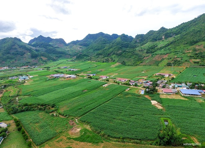Sau đó, du khách được đưa bay ngang qua khu vực thị trấn với những đồng cỏ, đồng ngô bát ngát...